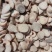 【有好货样品】白芍片规格齐全产地一手货量大从优品质