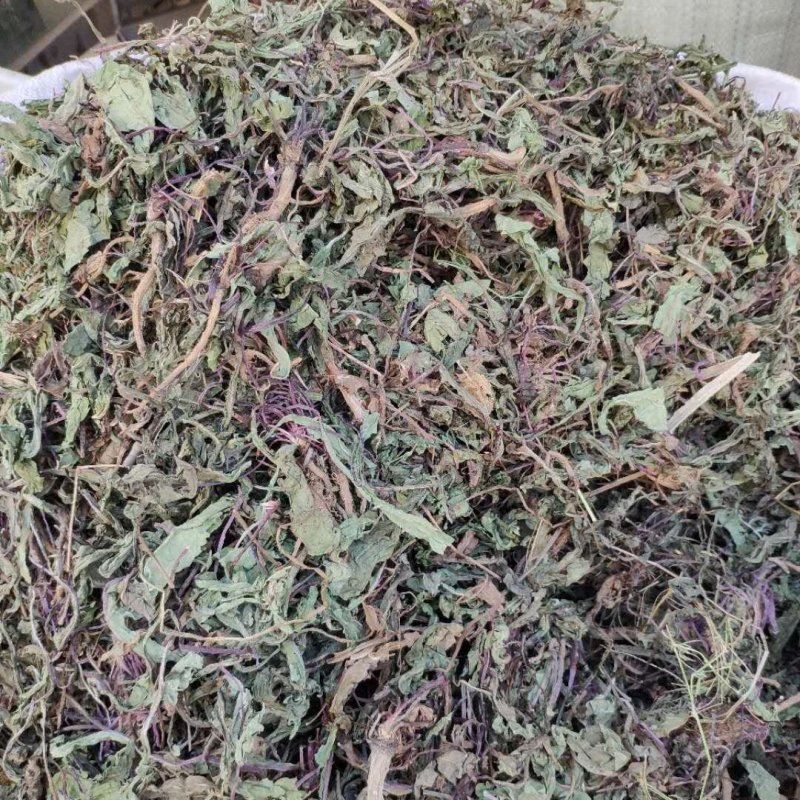 中药材蒲公英根整棵/切碎野生正品蒲公英量大从优