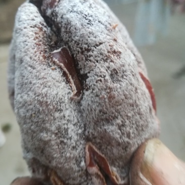 柿饼