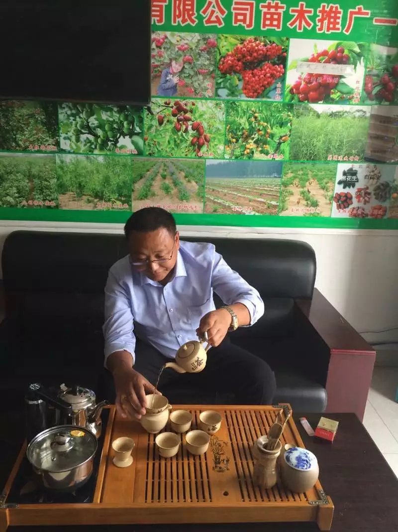 早中晚嫁接苗，实生桃苗，基地直供现挖现卖，死苗补发。
