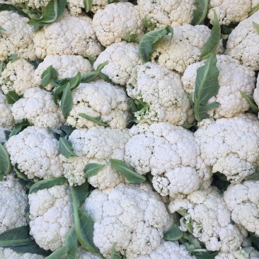 青梗散花白面小米粒松花菜散花菜产地直发手工网套
