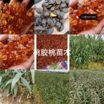 桃胶