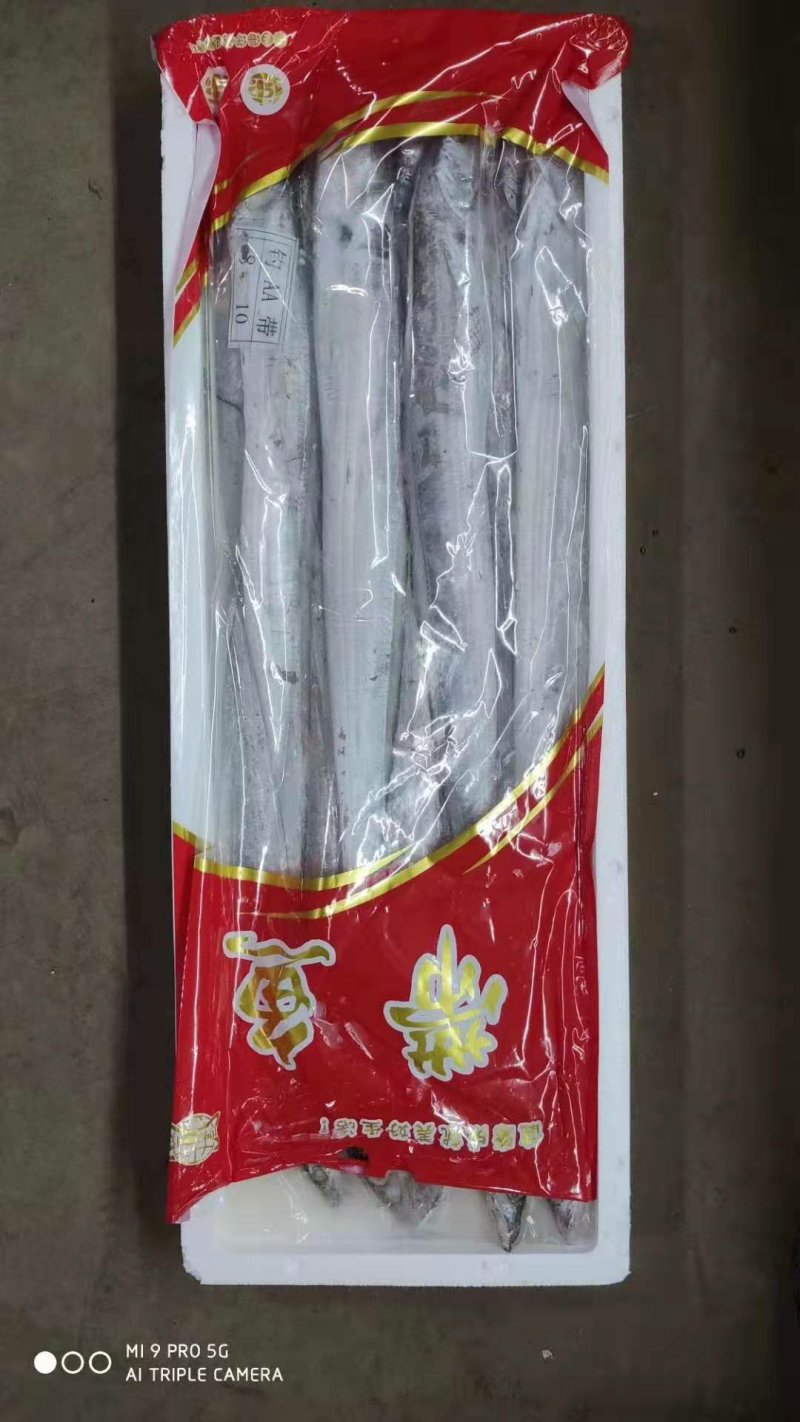 带鱼