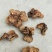 食用菌