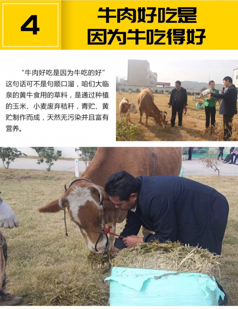 一件代发4斤新鲜冷冻不调理牛腱子肉批发生牛肉包邮