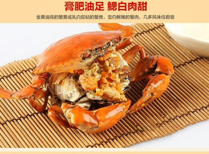 因尼青蟹红鲟蟹三门青蟹（鲜活）