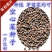 有机蔬菜大叶青梗空心菜种子泰国尖叶空心菜籽无土有土栽培无
