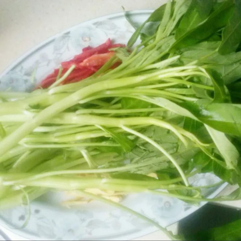 有机蔬菜大叶青梗空心菜种子泰国尖叶空心菜籽无土有土栽培无