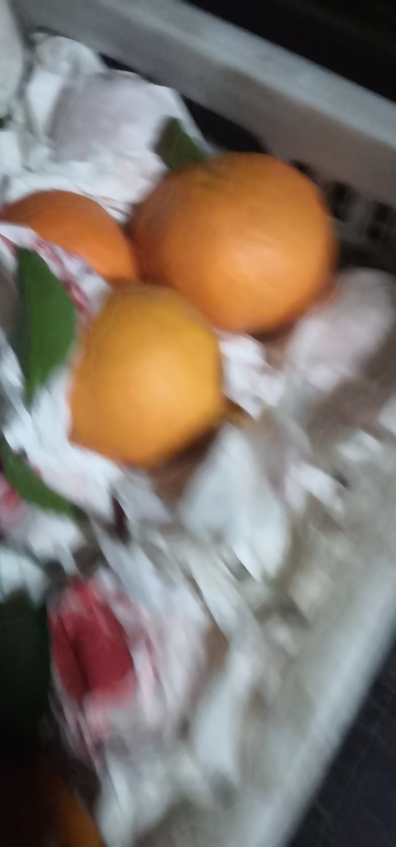 耙耙柑，爱媛果冻橙，高次