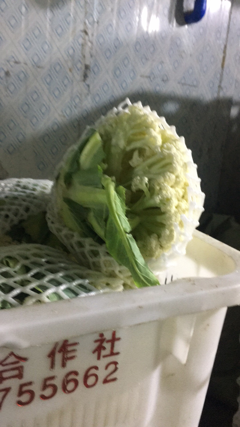散花、青梗花菜大量上市