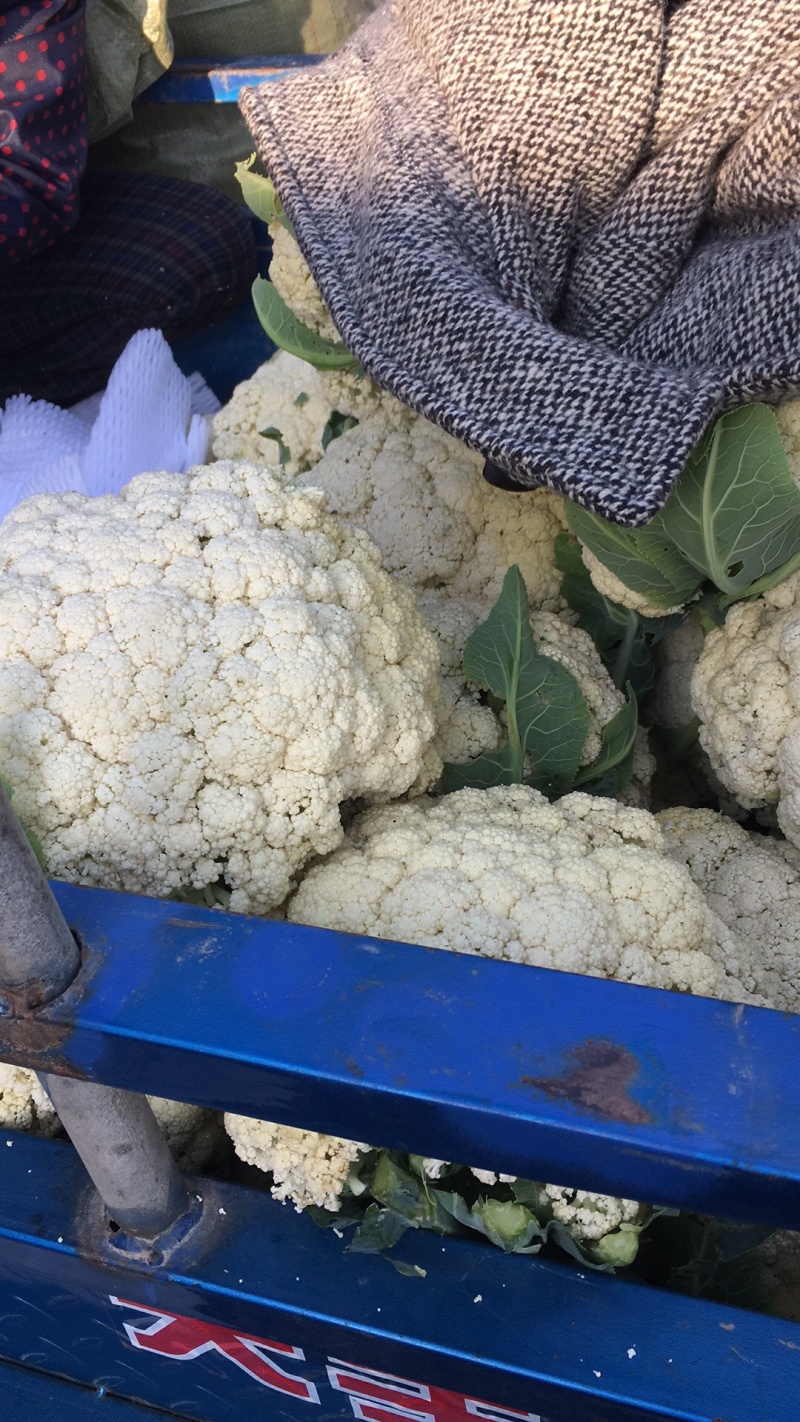 散花、青梗花菜大量上市
