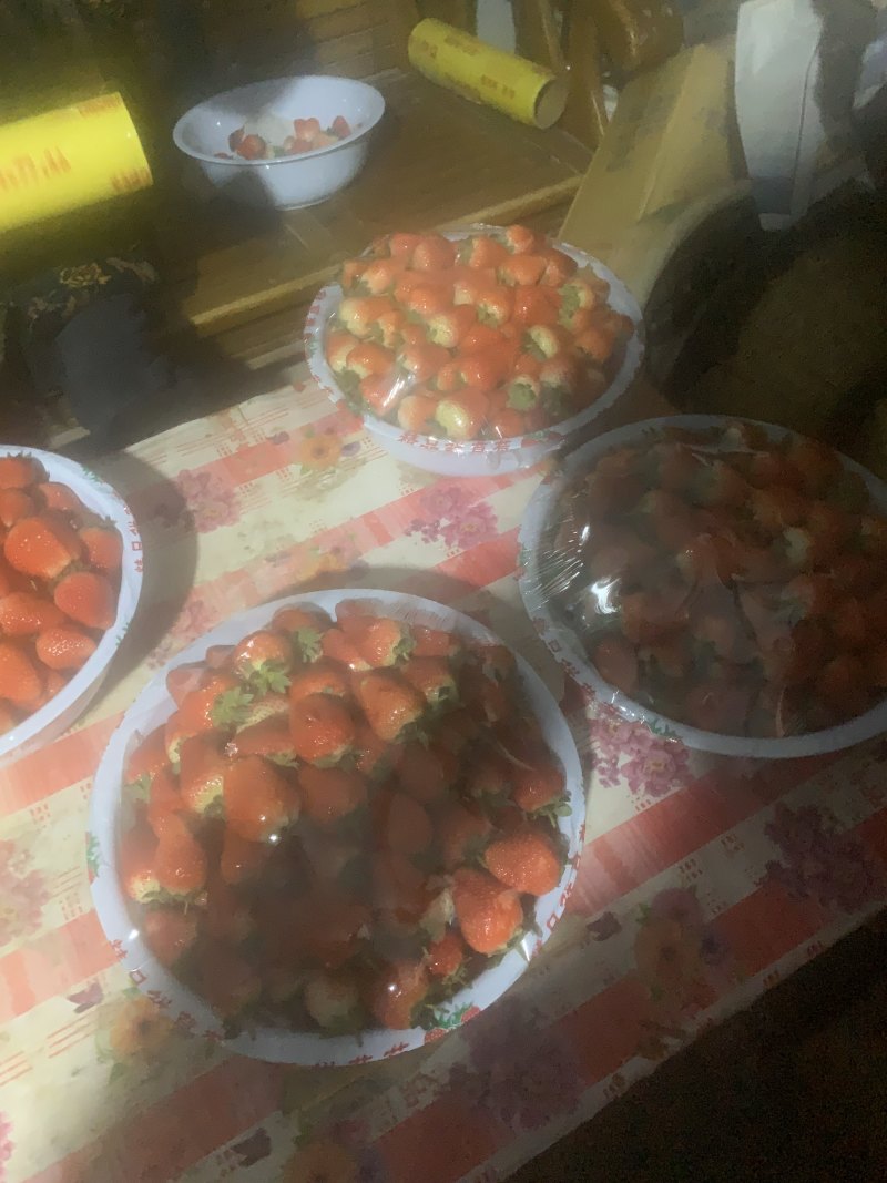 草莓