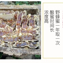 蜂蜜