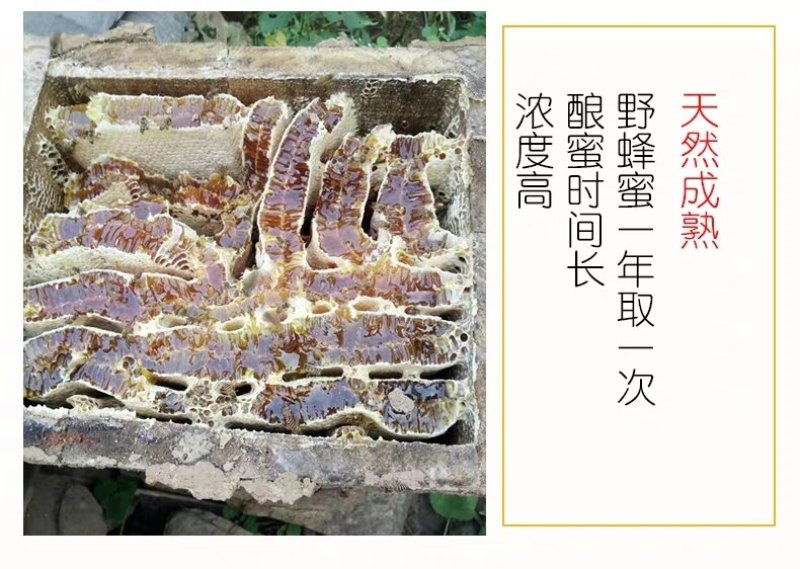蜂蜜