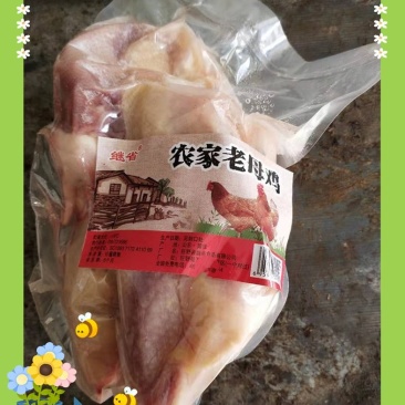 农家老母鸡
