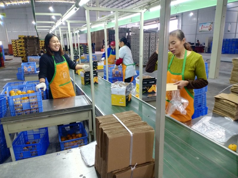 永兴冰糖橙好吃不上火果粒更青春。一件代发包邮，西五省不包
