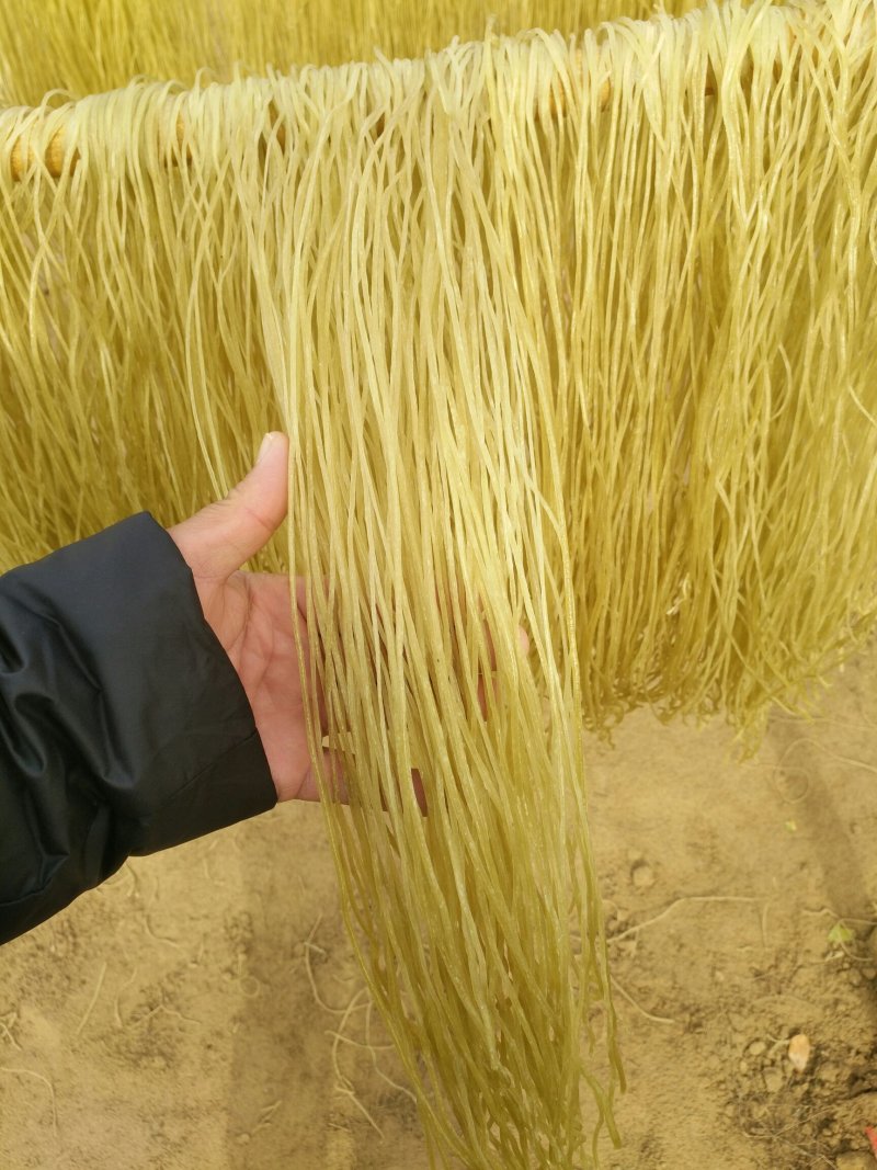 红薯粉条，细粉厂家量大供应传统手艺、干净卫生口感好