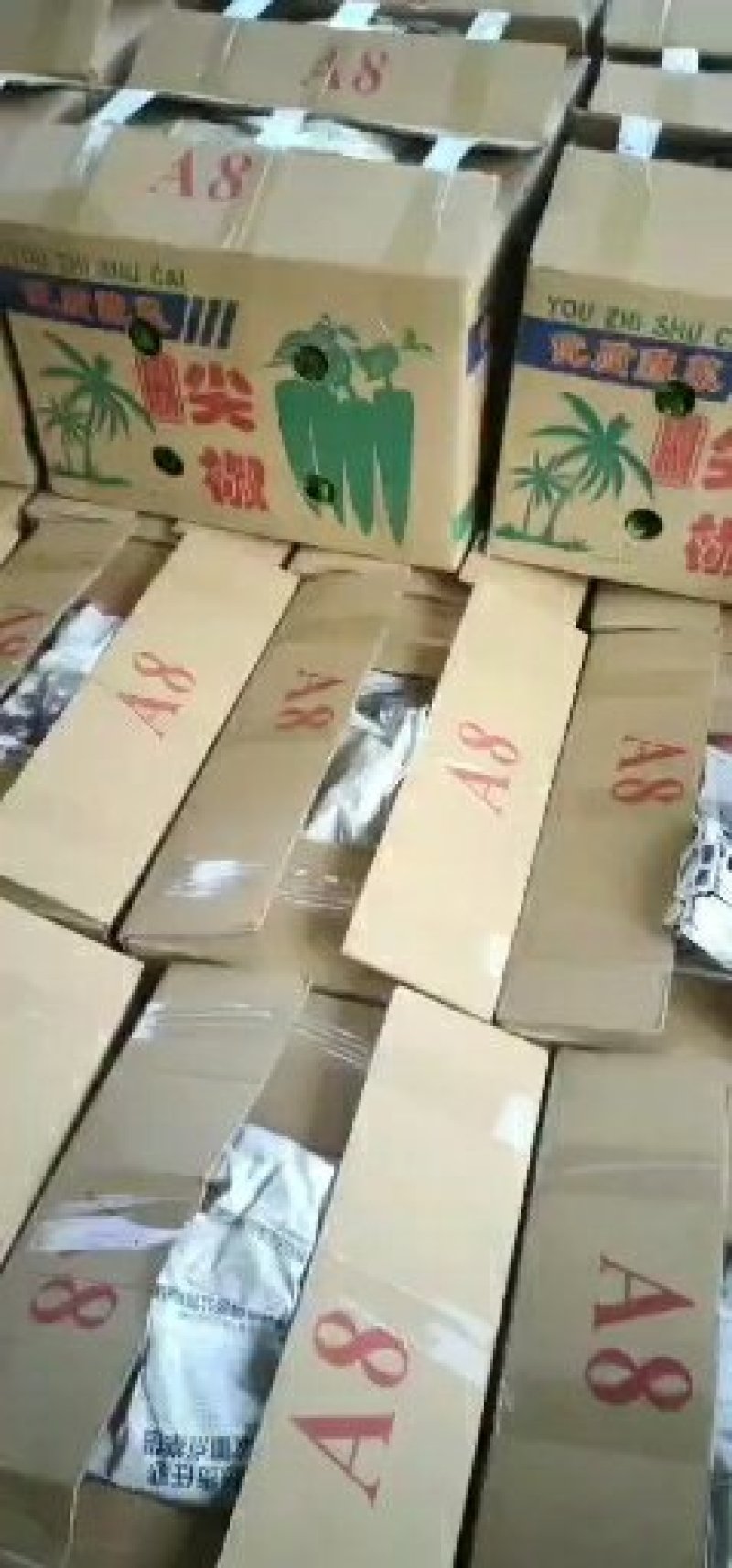 鲜辣椒产地直销价格低廉诚信代办一次合作终身朋友
