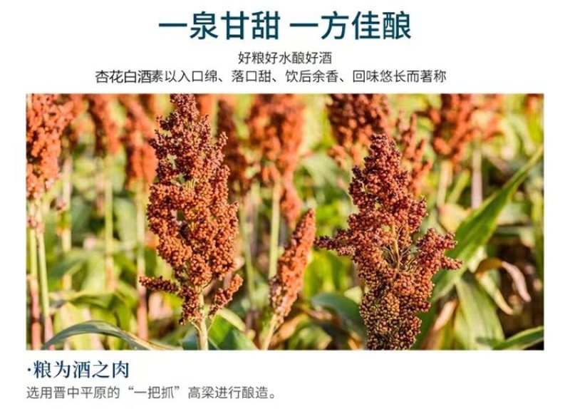 山西杏花村白酒瓶装纯粮食高粱酒整箱3瓶装42度或53度酒