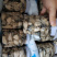 生蚝肉批发大量有货
