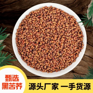 苦荞茶包邮农副产品大凉山黑苦荞茶黄苦荞茶浓香
