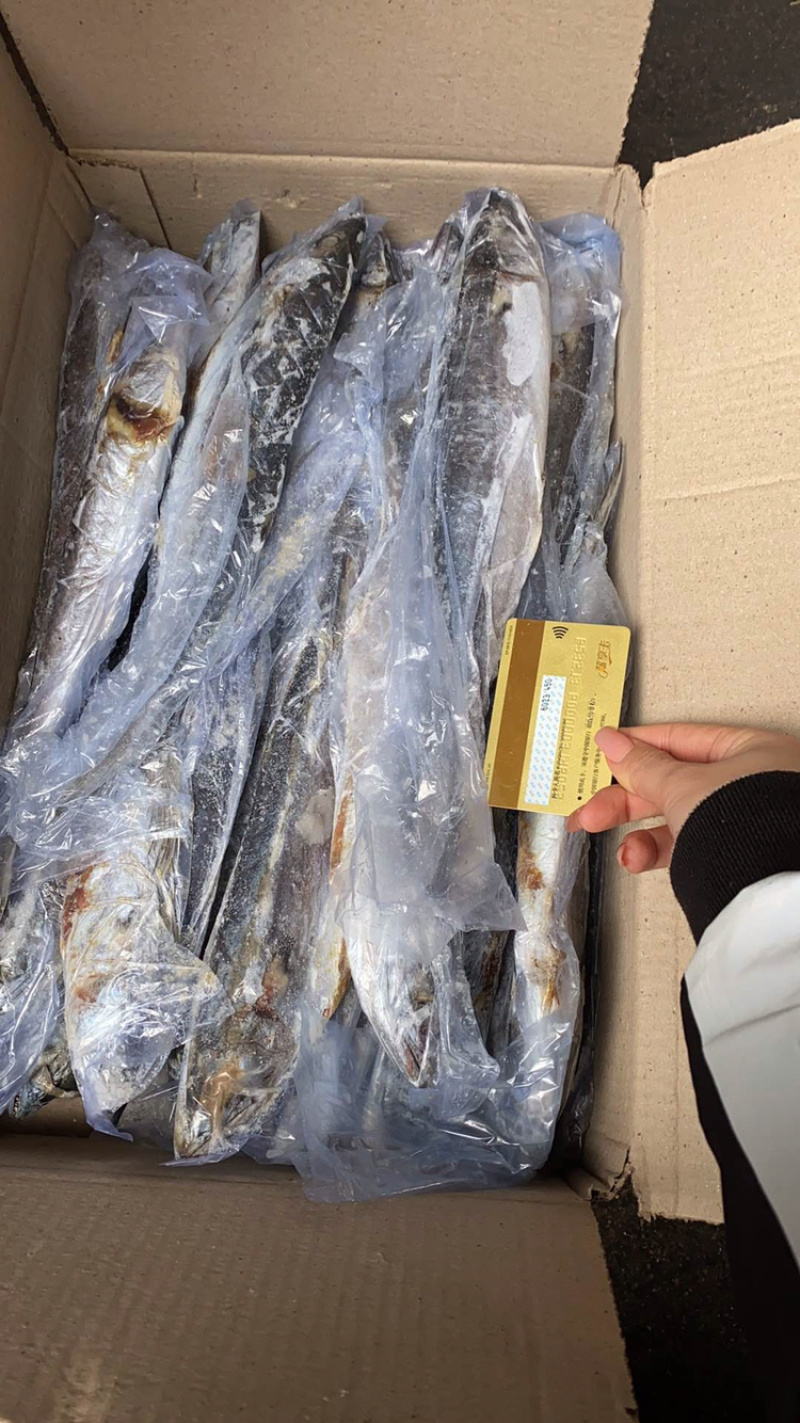 残鲅鱼4-6两每条