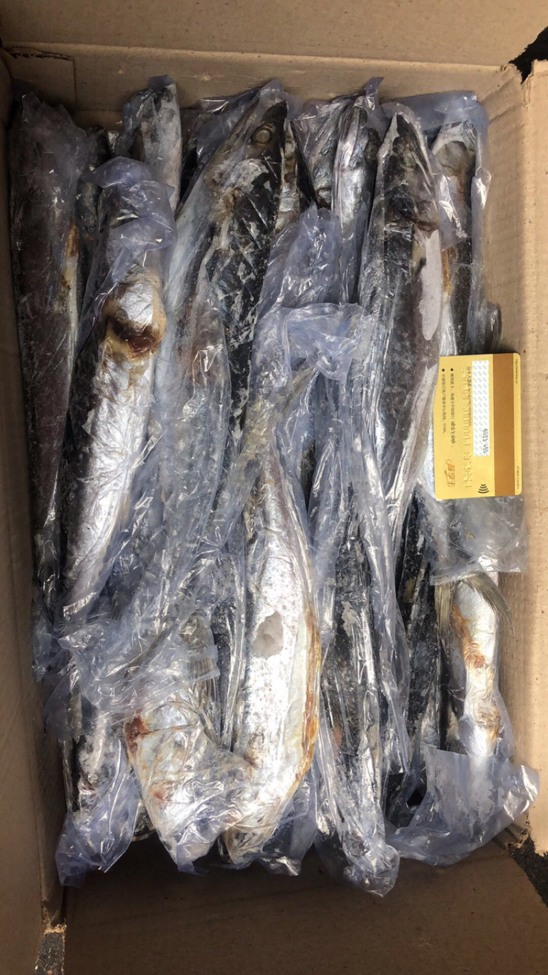 残鲅鱼4-6两每条