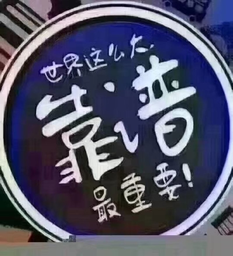 山西杜梨苗一年苗2年苗3年苗基地大量批发包邮