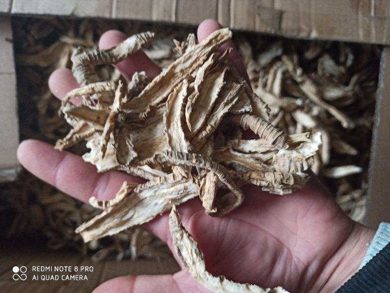山海螺真品各种规格可打粉批发零售中药材