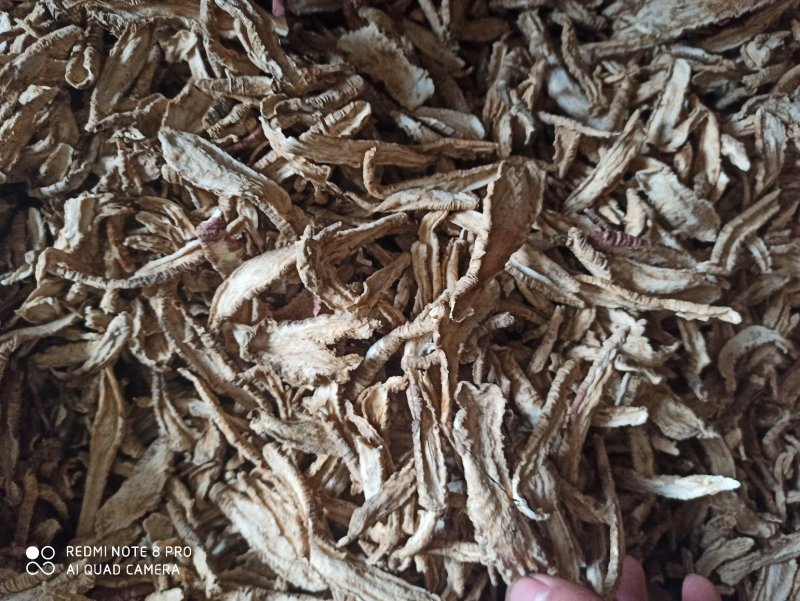 山海螺真品各种规格可打粉批发零售中药材