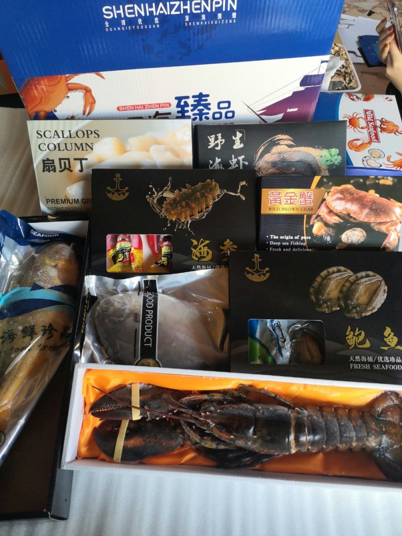 波士顿龙虾，活冻波龙，大龙虾