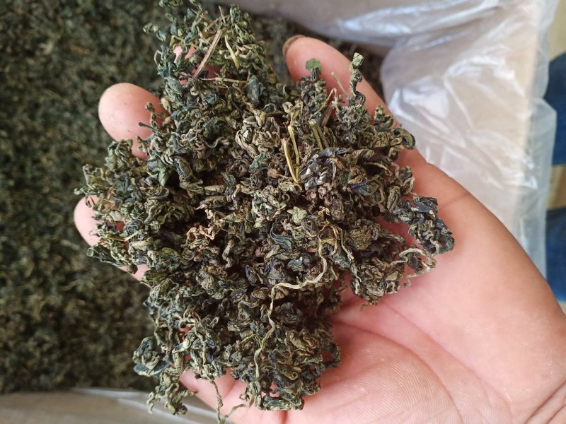 蒲公英茶，产地直销，一手货源，中间无差价
