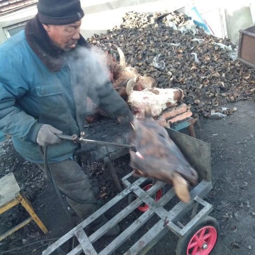 冷库长年批发零售火烧牛头，照片实物拍摄质量保证