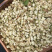 茉莉花渣花干渣枕头填充物广西横县中华茉莉园基地