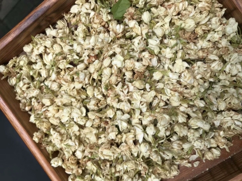 茉莉花渣花干渣枕头填充物广西横县中华茉莉园基地