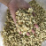 茉莉花渣花干渣枕头填充物广西横县中华茉莉园基地