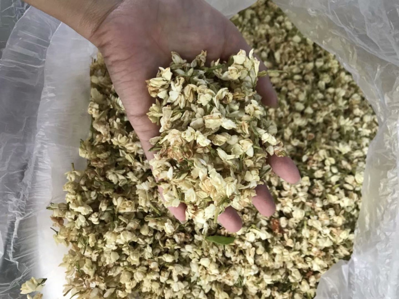 茉莉花渣花干渣枕头填充物广西横县中华茉莉园基地