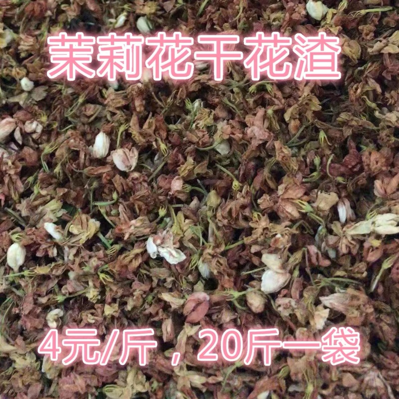茉莉花渣花干渣枕头填充物广西横县中华茉莉园基地