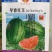 早春红玉西瓜种子小型礼品瓜四季水果种子早熟口感甜脆爽
