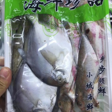 【有好货】海杂鱼组合海杂鱼海杂鱼组合