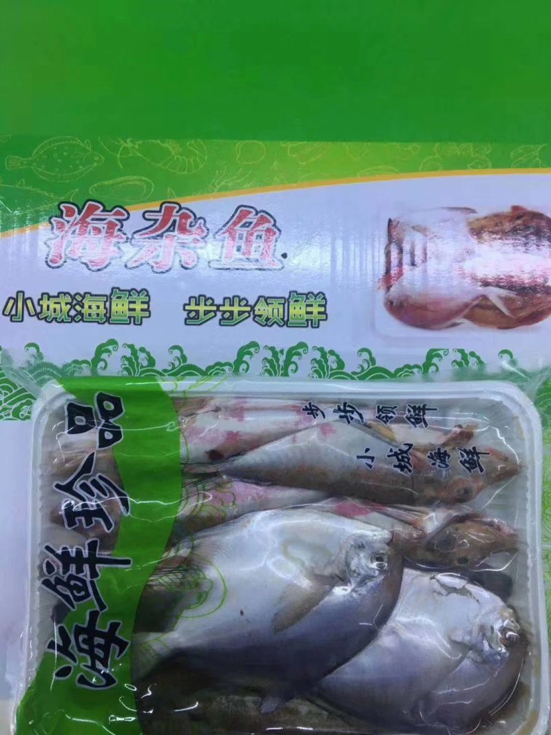 【有好货】海杂鱼组合海杂鱼海杂鱼组合