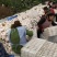 四川柑桔正宗不知火丑橘个大汁多甜蜜化渣产地采发支持代发