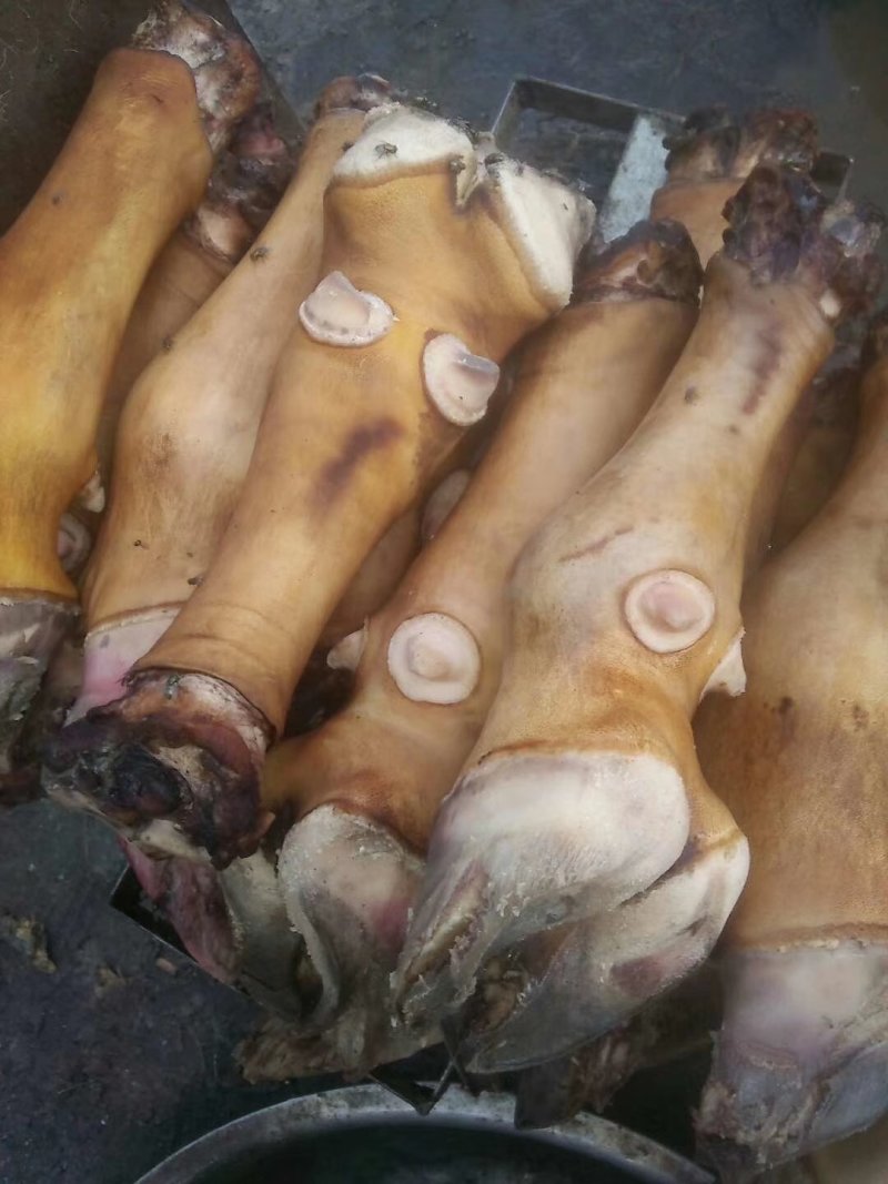 长年批发零售火烧牛蹄，照片实物拍摄质量保证