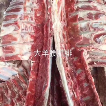 羊腰脊排