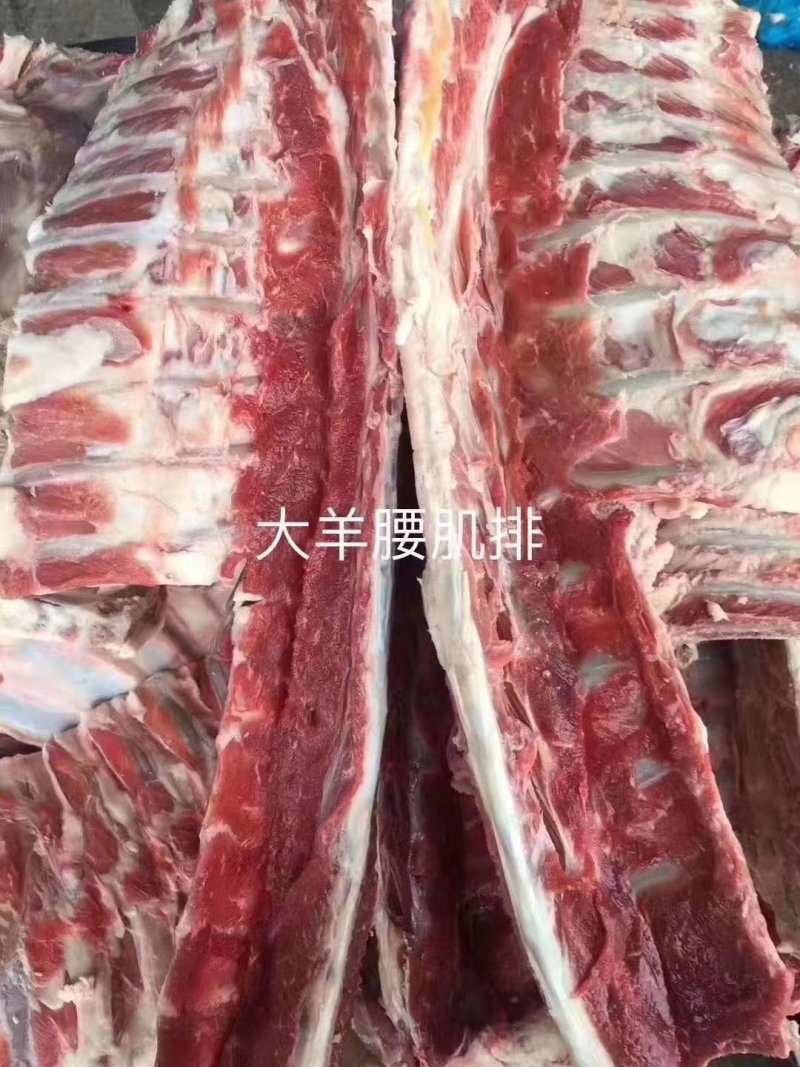 羊腰脊排