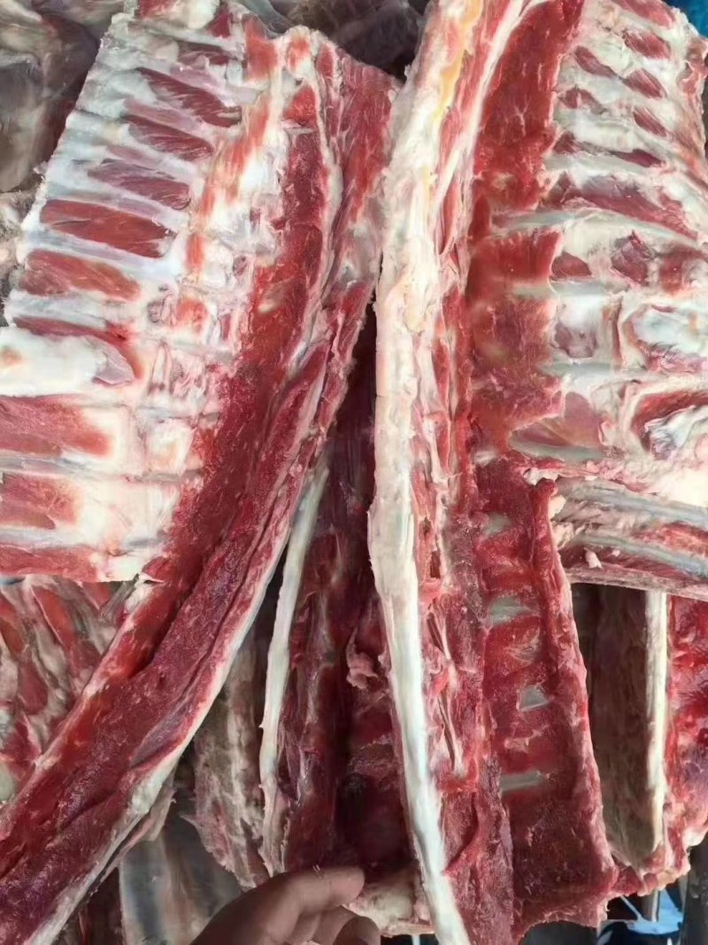 羊腰脊排