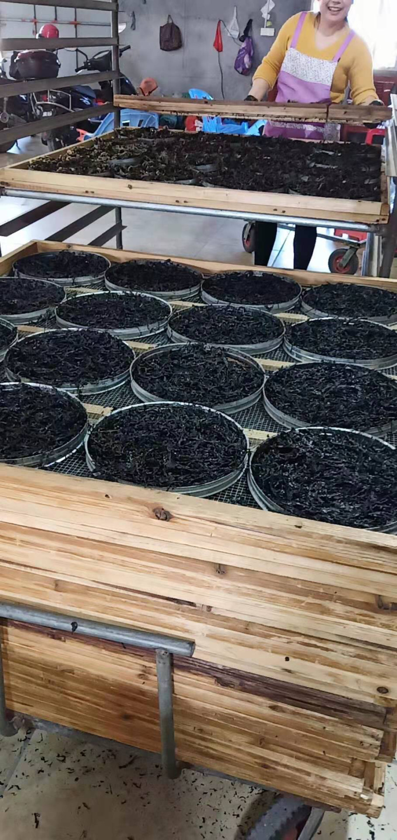 头水紫菜