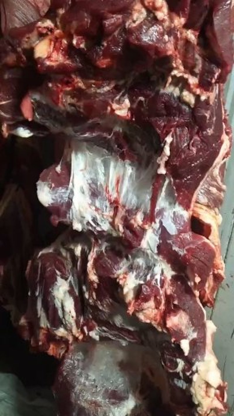 鲜牛后腿肉，纯干鲜牛肉，纯干牛碎肉，牛排