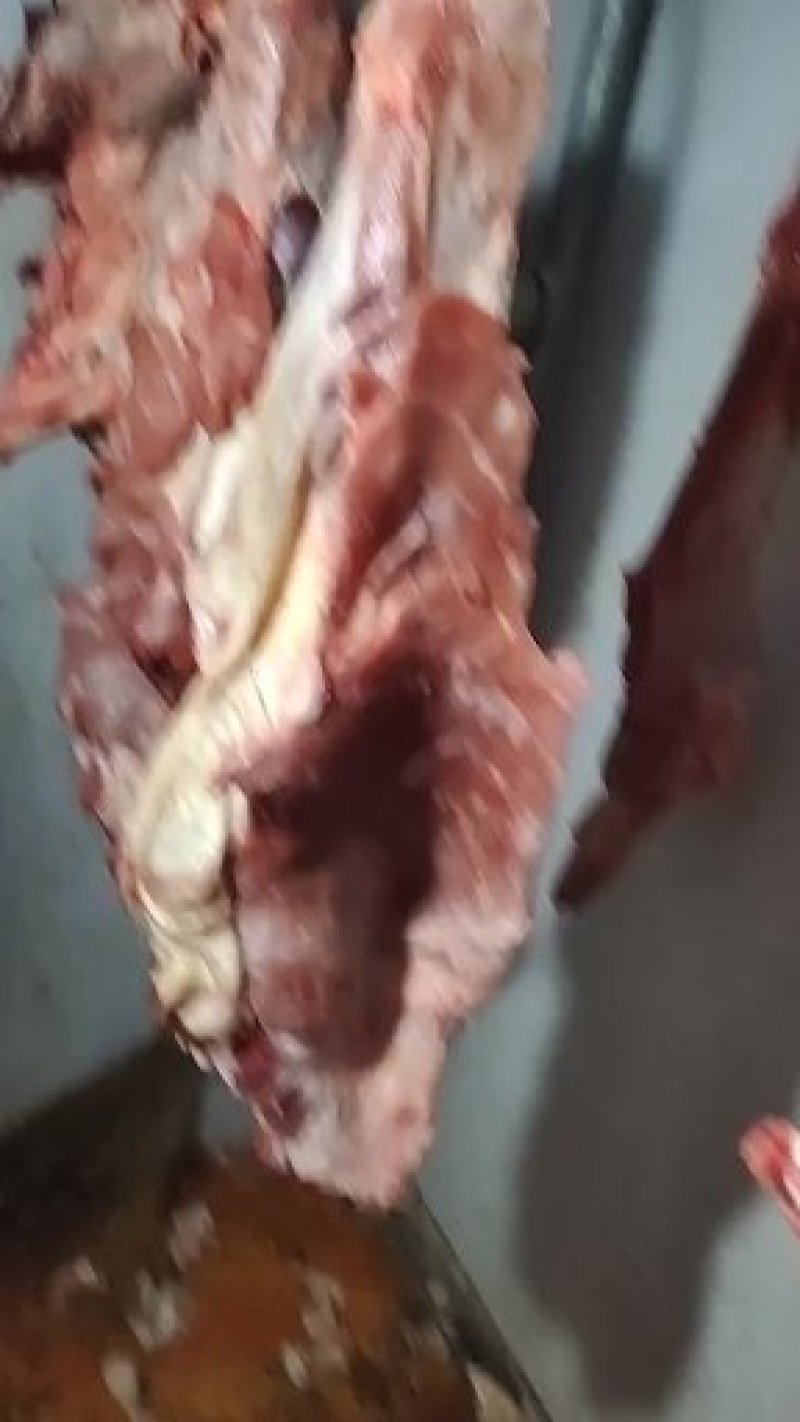 鲜牛后腿肉，纯干鲜牛肉，纯干牛碎肉，牛排