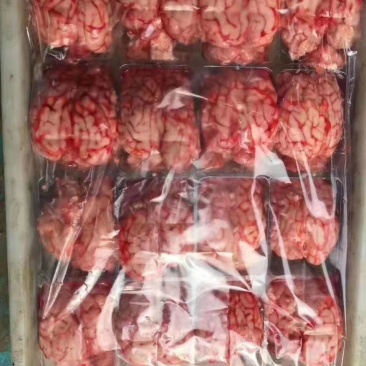 单体羊脑，羔羊拐筋系列